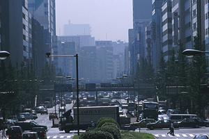 自動車税の減免を受けた人の車検